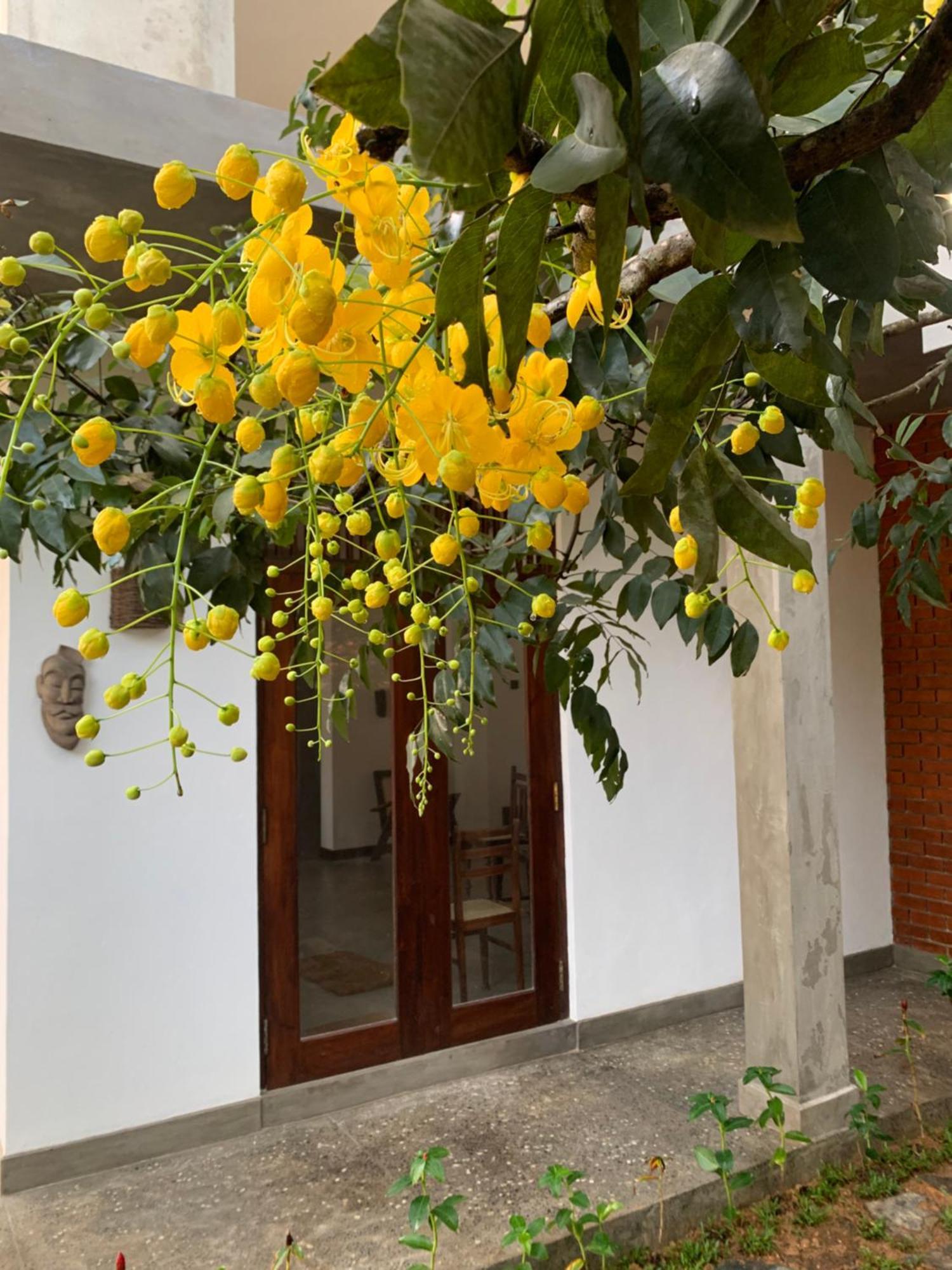 Bed and Breakfast Thaproo Bay Hiriketiya Dikwella Sur Exterior foto